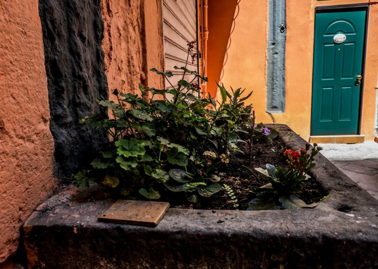 Little House Napoli Apartment Ngoại thất bức ảnh